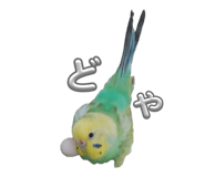 857801210