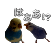 857801220