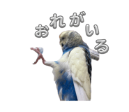 857801224