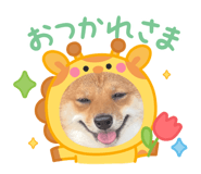 857801725