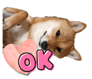 857801726