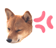 857801730
