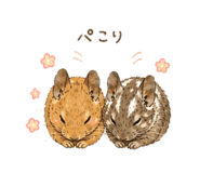 857802122