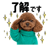857802997