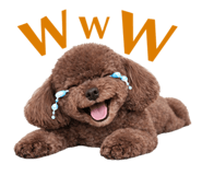 857802999