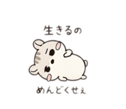 857804090