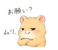 857804453