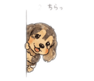 857804562