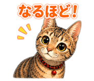857804625