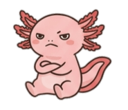 857804652