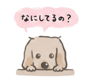 857804890