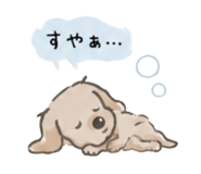 857804897
