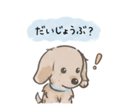857804905