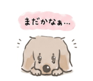 857804909