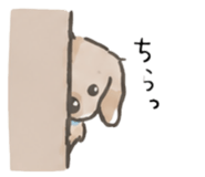857804911