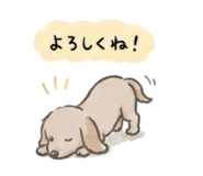857804912