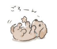857804915