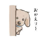 857804920