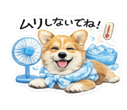 857805061