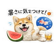 857805067
