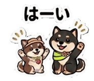 857805254