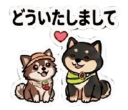 857805256