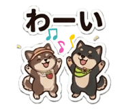 857805269
