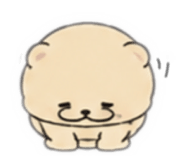857805522