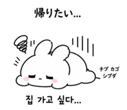 857805757