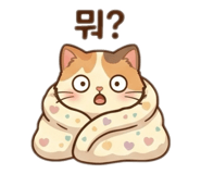 857806481