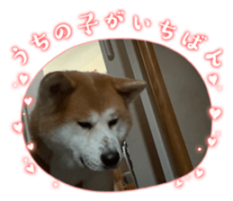 857808040
