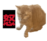 857809210