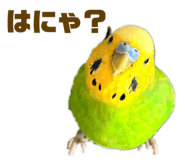 857809626