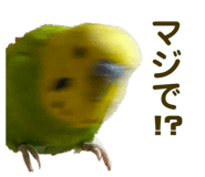 857809627