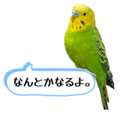 857809628