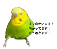 857809632
