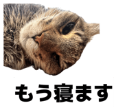 857809698