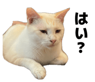 857809701