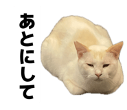 857809702