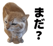 857809803