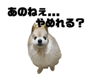 857813646