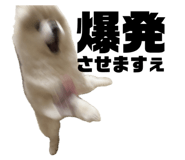 857813649