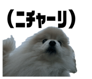 857813651