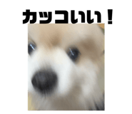 857813653