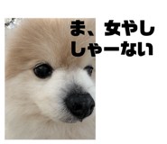 857813654