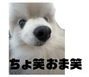 857813658