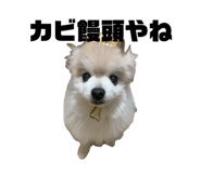 857813661