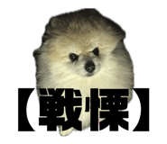 857813662