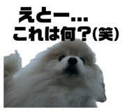 857813667