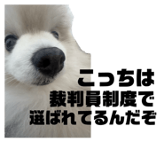 857813668